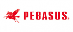 PEGASUS