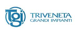 Trivineta